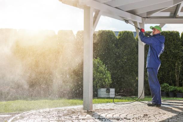 Animal Enclosure Cleaning in Ceres, CA